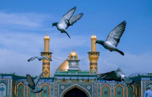مرقد الامام العباس (عليه السلام))