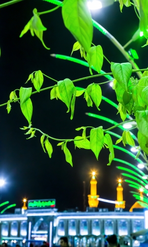 حرم الإمام الحسين (عليه السلام)