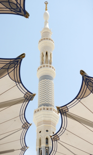 المدينة المنورة