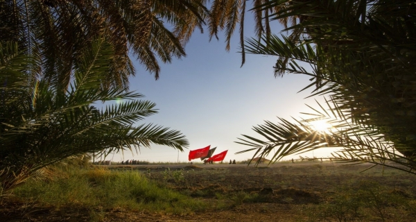 زيارة الاربعين 