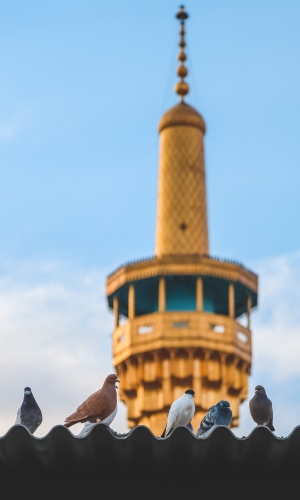 حرم الإمام الرضا عليه السلام