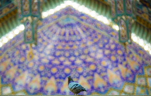 حرم أبي الفضل عليه السلام