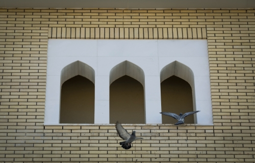 صور متنوعة