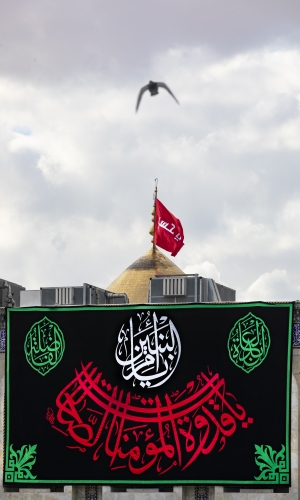 ذكرى وفاة السيدة أم البنين