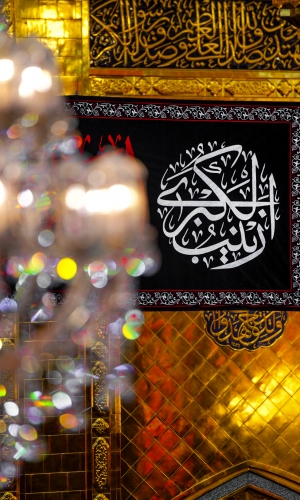 ذكرى وفاة السيدة زينب سلام الله عليها