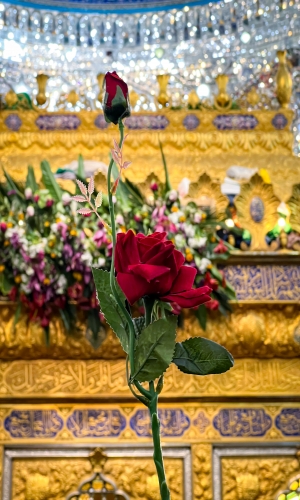 ذكرى ولادة الإمام المهدي سلام الله عليه