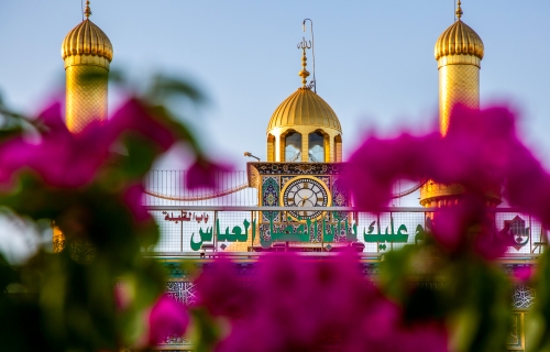 حرم أبي الفضل العباس عليه السلام