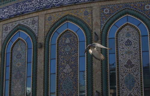 زخارف اسلامية