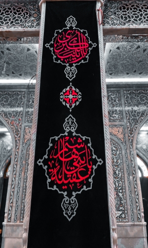 ياعقيلة بني هاشم 