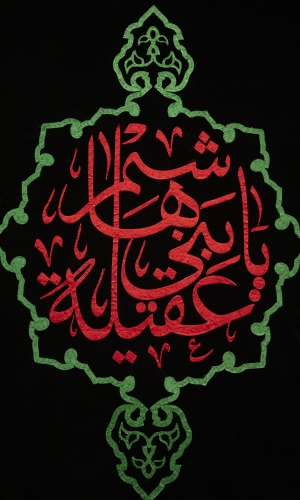ياعقيلة بني هاشم 