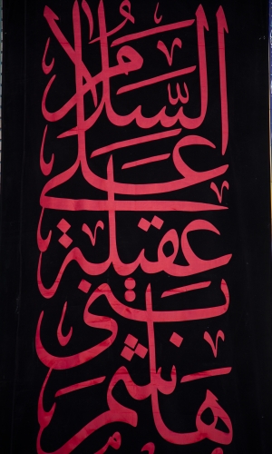 ياعقيلة بني هاشم 