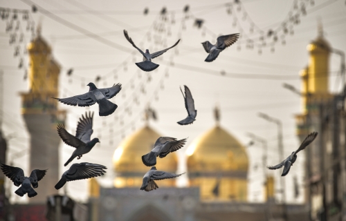 العتبة الكاظمية المقدسة 