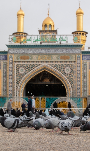 اَلسَّلامُ عَلَيْكَ يَابْنَ سَيِّدِ الْوَصِيِّينَ